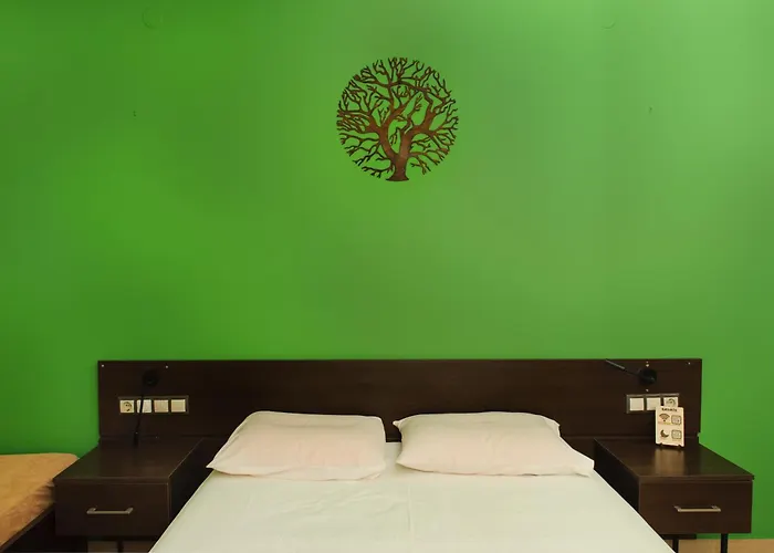 Saokis Studios